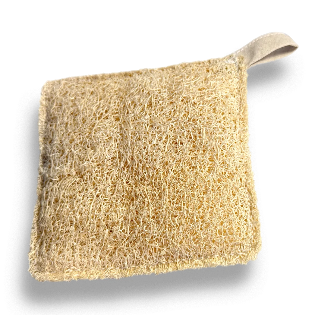 Esponja vegetal de lufa natural con forma cuadrada y asa de tela blanca sobre fondo transparente