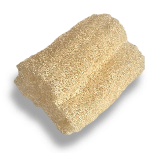 Esponja vegetal de luffa natural cortada en formato cilíndrico sobre un fondo transparente para baño y exfoliación de la piel.